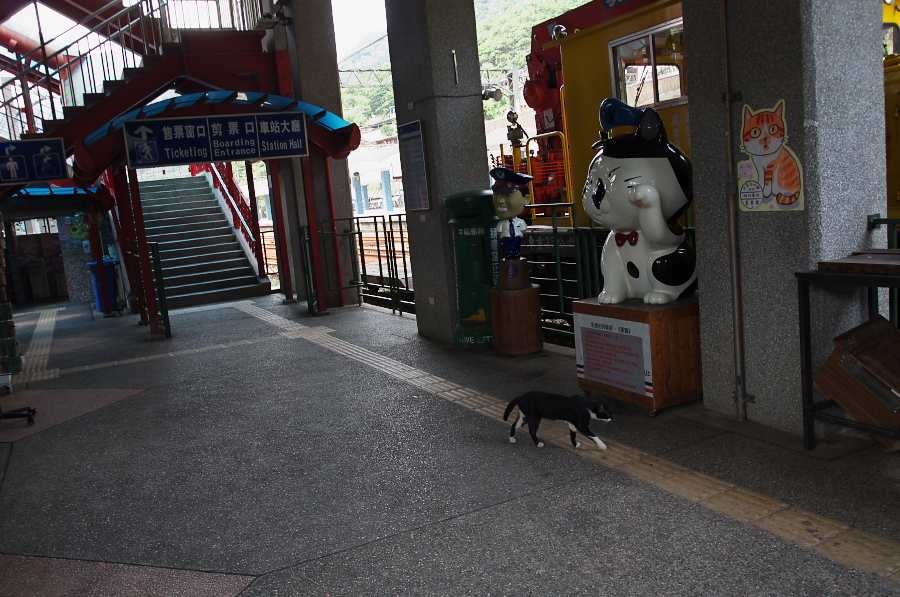 IMGP7737.jpg(390455 byte)