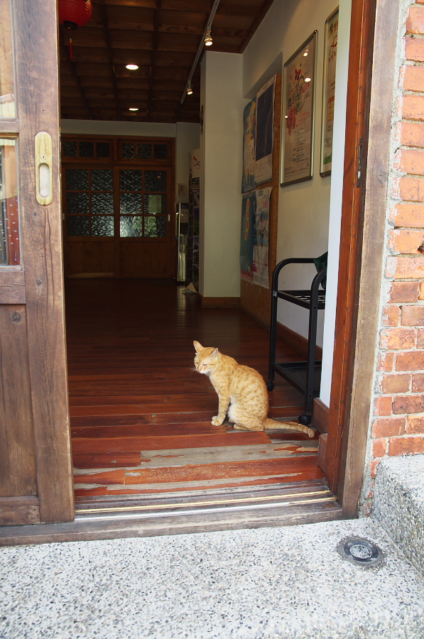 IMGP7767.jpg(384100 byte)