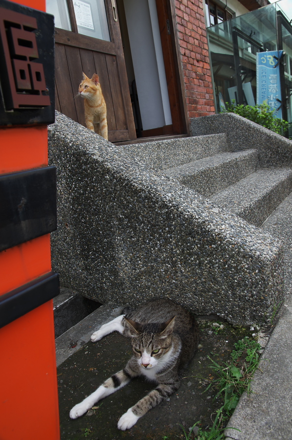 IMGP7771.jpg(406769 byte)