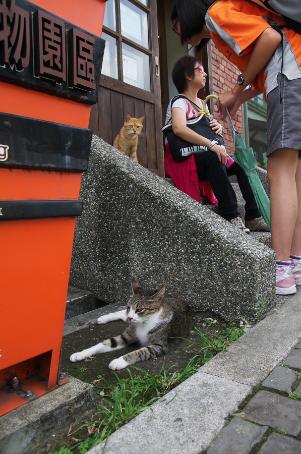 IMGP7775.jpg(406908 byte)