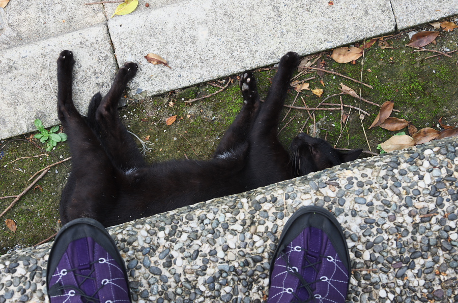 IMGP7780.jpg(493701 byte)