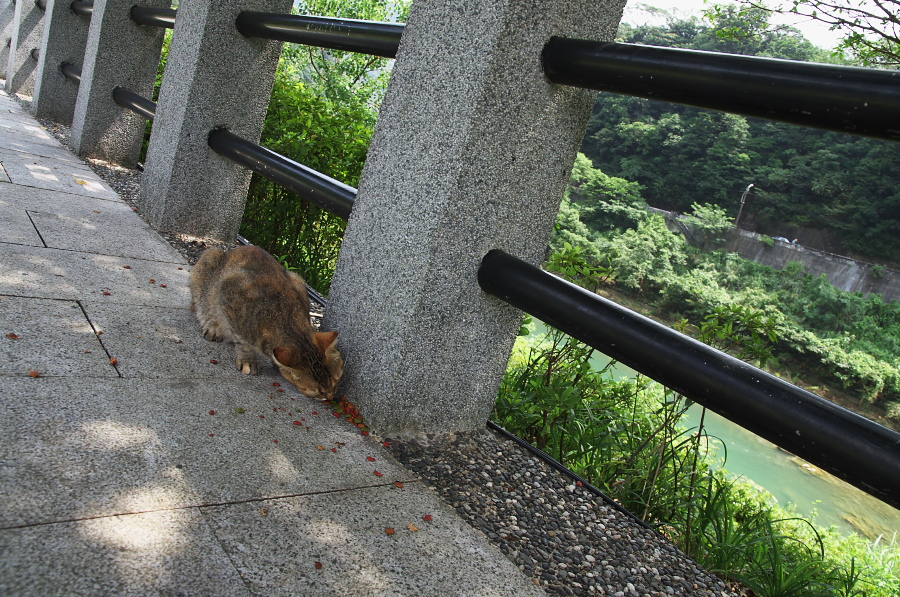 IMGP7783.jpg(525847 byte)