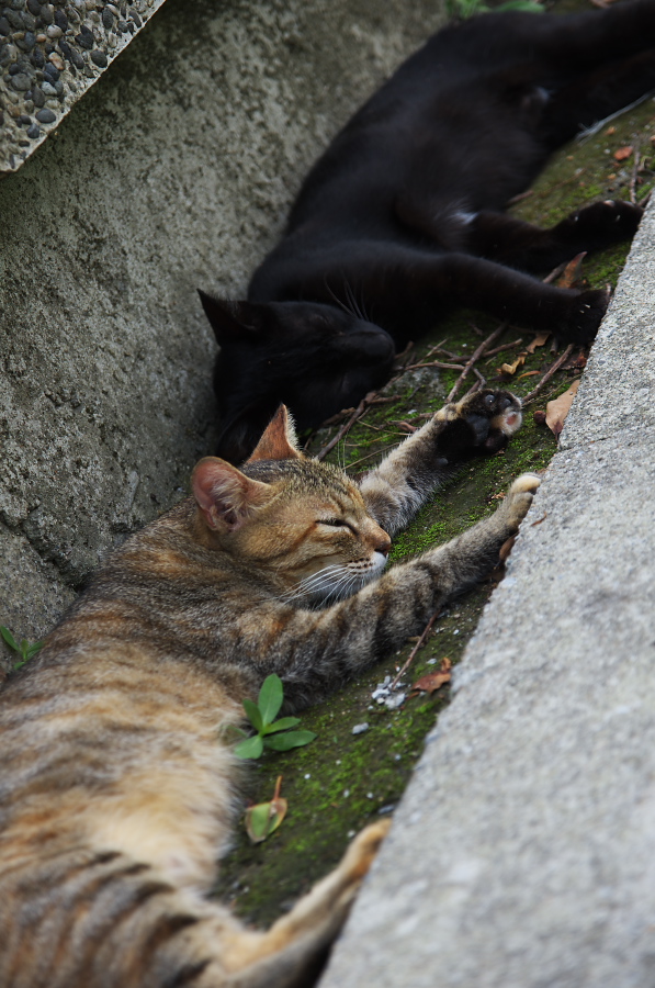 IMGP7789.jpg(321132 byte)