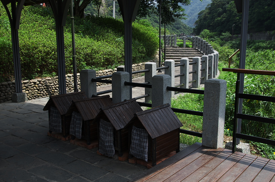 IMGP7810.jpg(458582 byte)