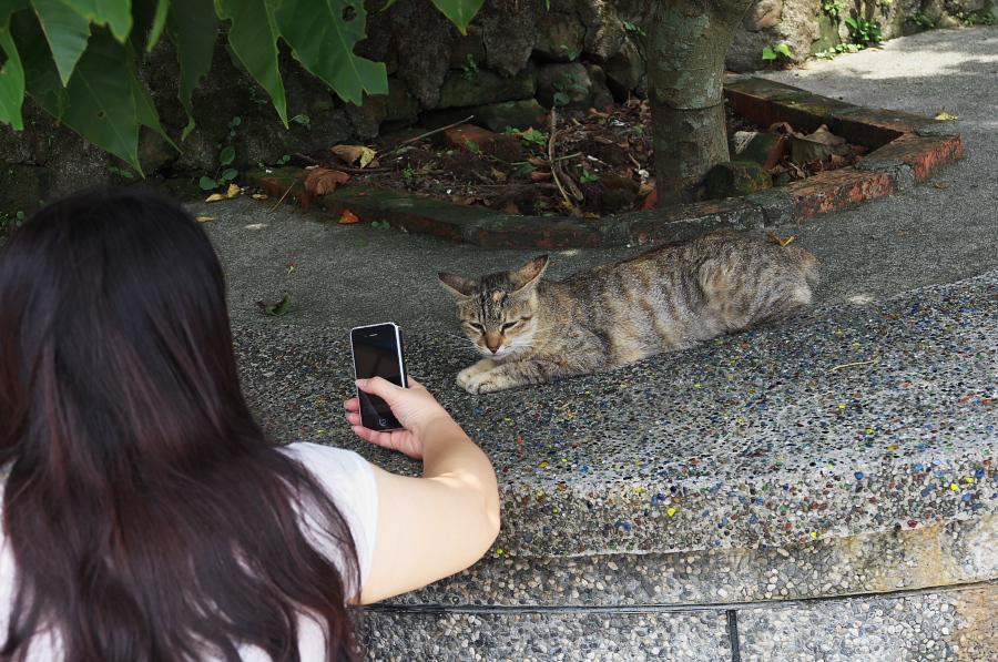 IMGP7835.jpg(434096 byte)