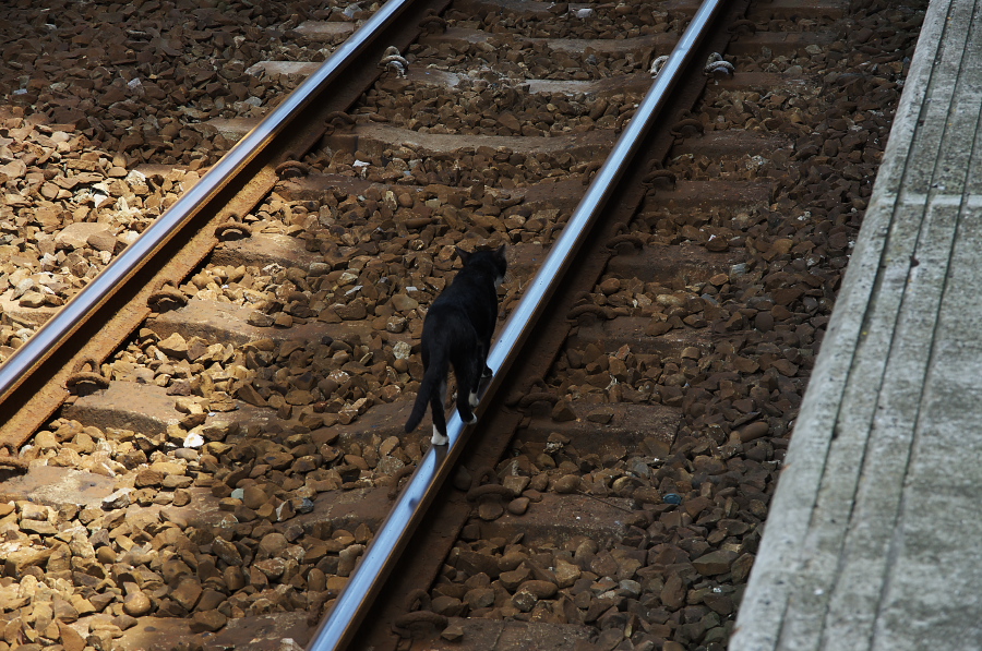 IMGP7840.jpg(474308 byte)