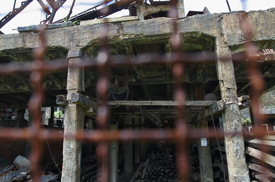 IMGP7808.jpg(352697 byte)