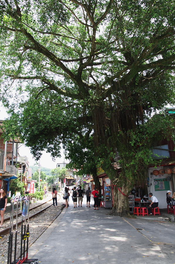 IMGP7869.jpg(612963 byte)