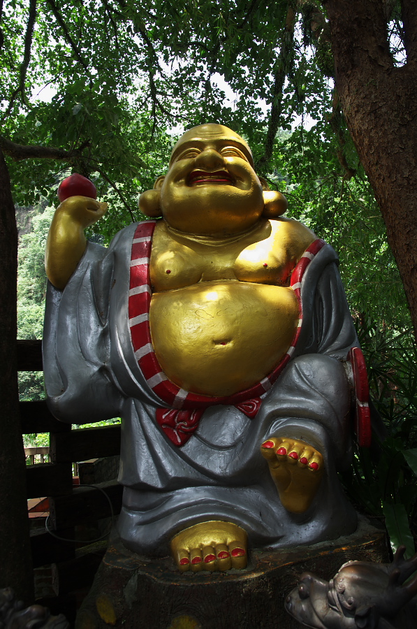 IMGP7943.jpg(445837 byte)