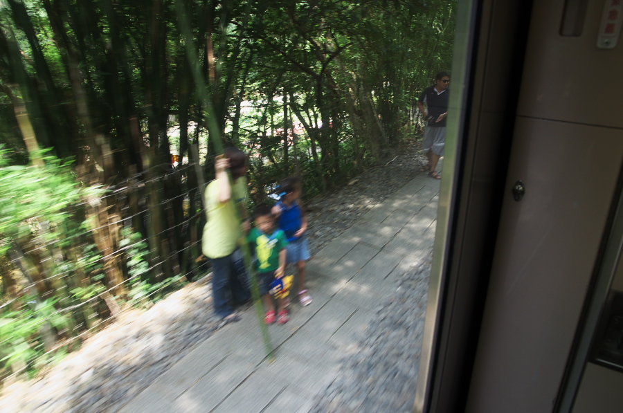 IMGP7949.jpg(317068 byte)