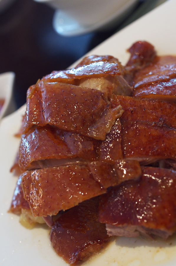 IMGP8185.jpg(305069 byte)