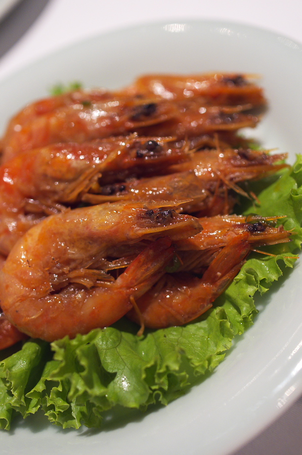 IMGP8282.jpg(283706 byte)