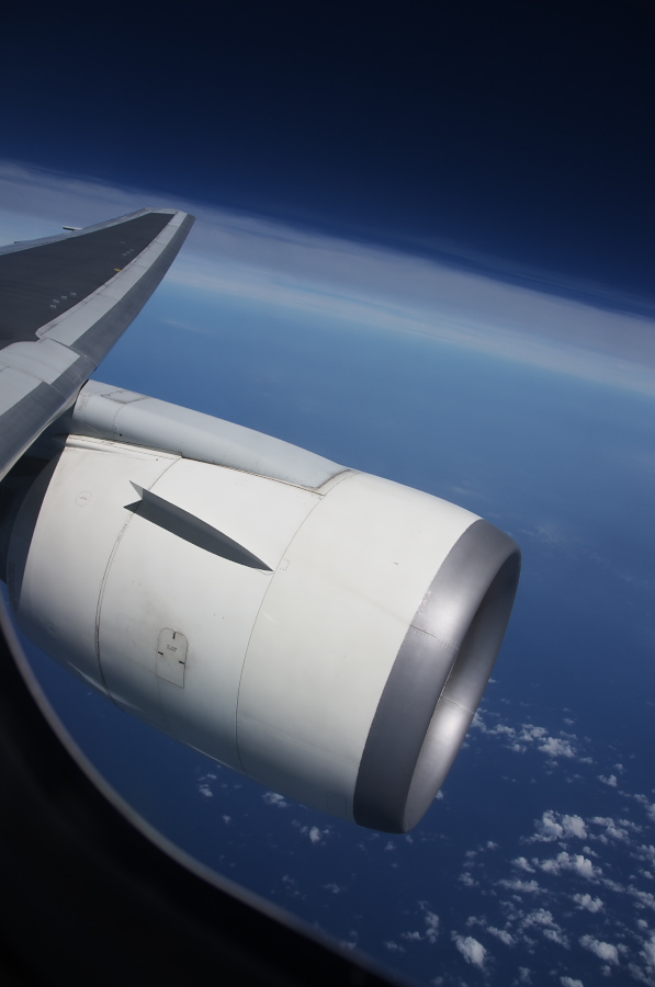 IMGP8399.jpg(131993 byte)