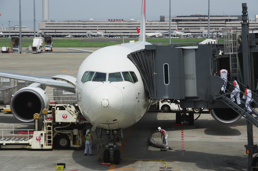 IMGP8409.jpg(303174 byte)