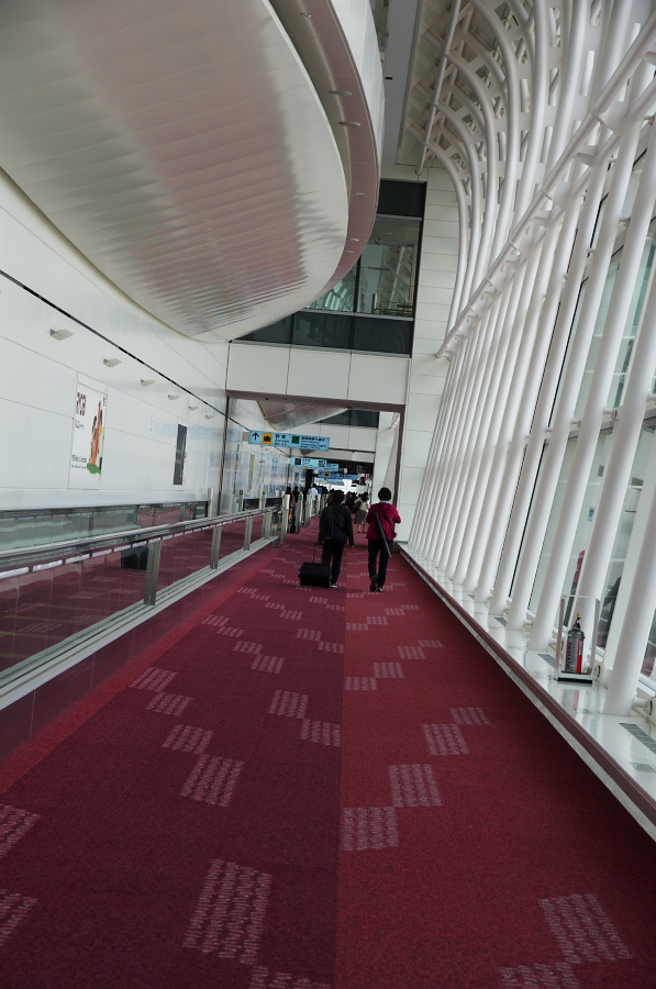 IMGP8414.jpg(287199 byte)