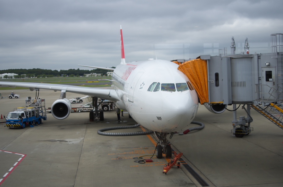 IMGP8627.jpg(199727 byte)