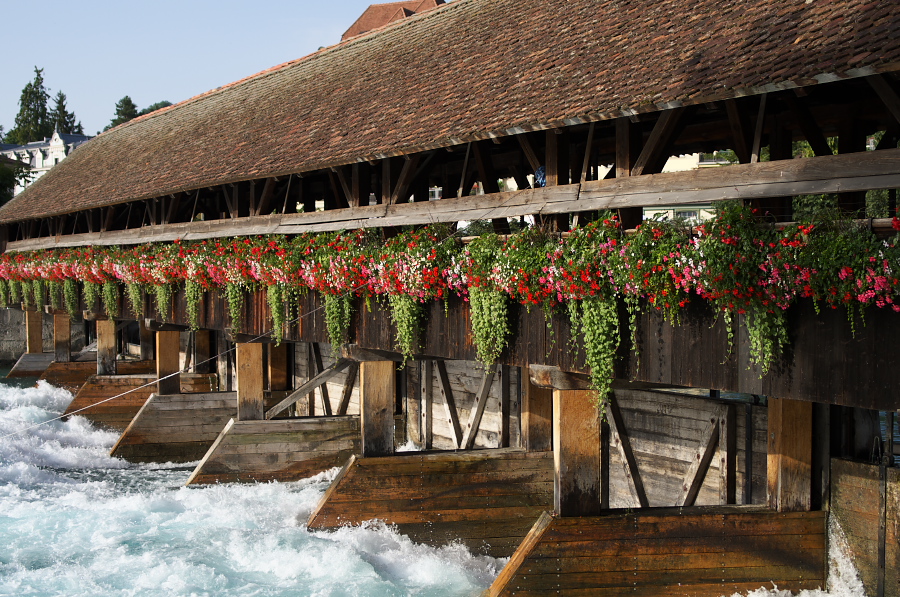 IMGP8697.jpg(493337 byte)