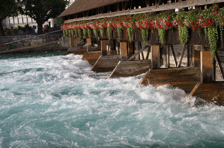 IMGP8699.jpg(460979 byte)