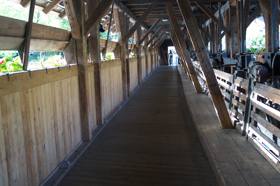 IMGP8704.jpg(350823 byte)