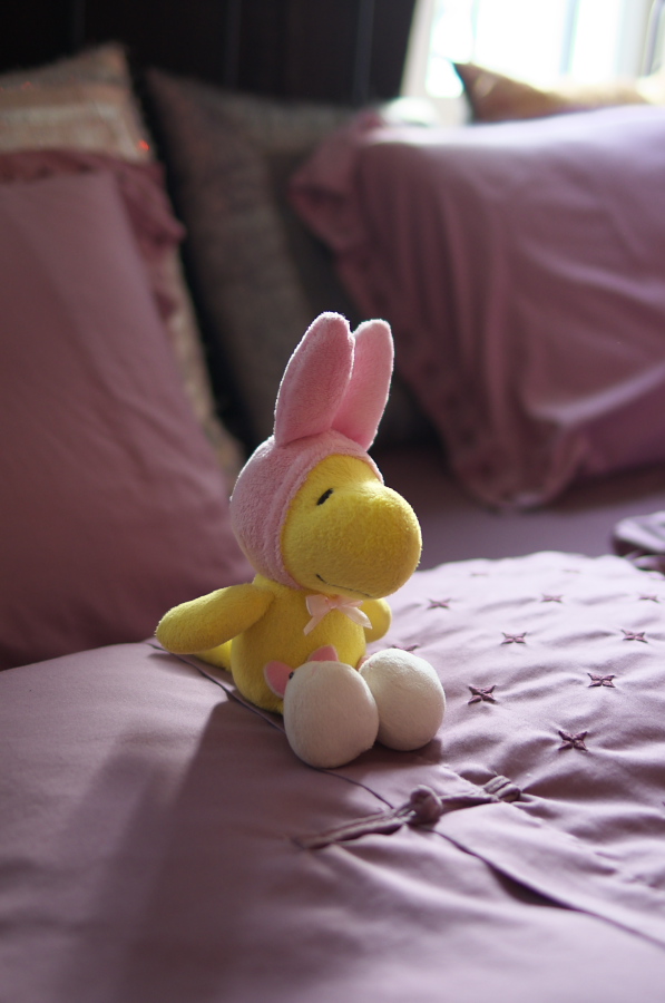 IMGP8724.jpg(179948 byte)