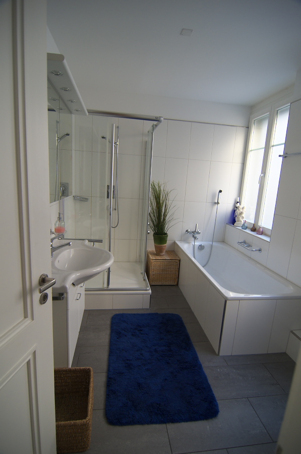 IMGP8732.jpg(187136 byte)