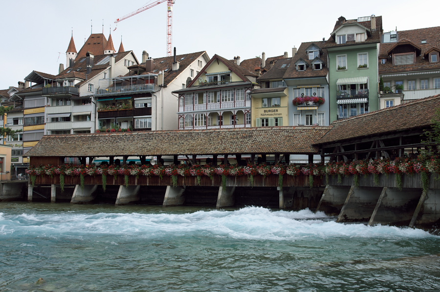 IMGP9022.jpg(391557 byte)