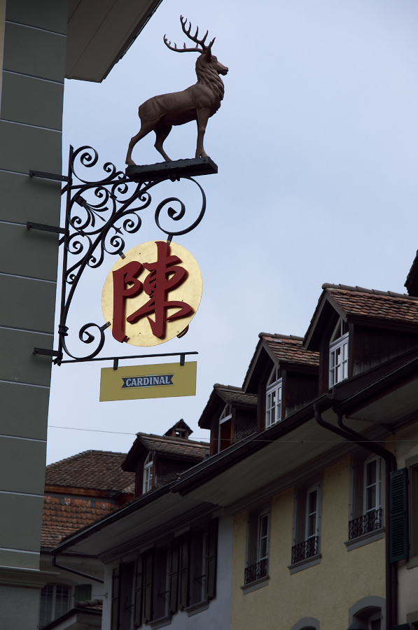 IMGP9046.jpg(229064 byte)