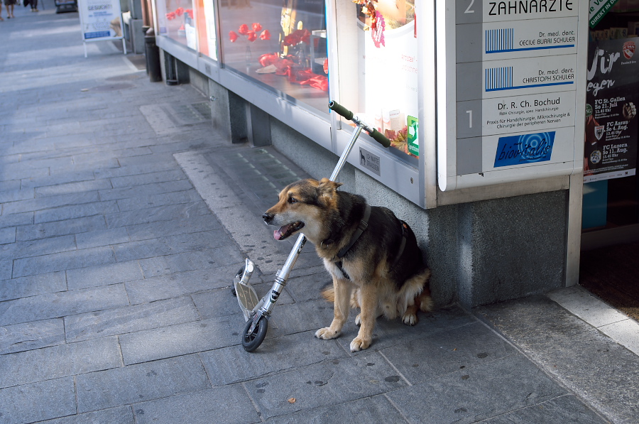 IMGP9119.jpg(343883 byte)