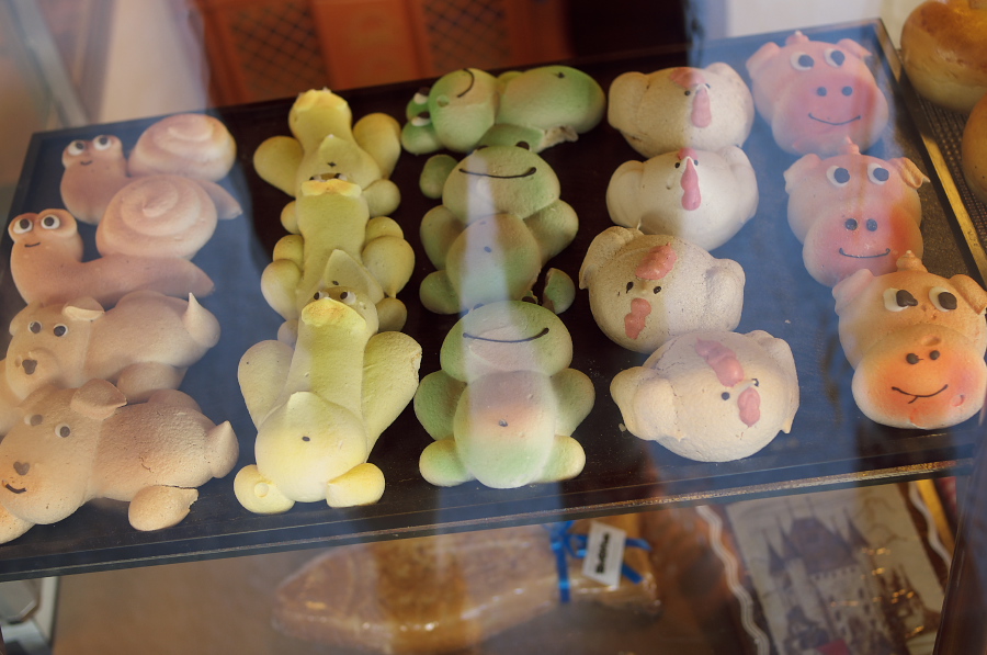 IMGP9121.jpg(262826 byte)