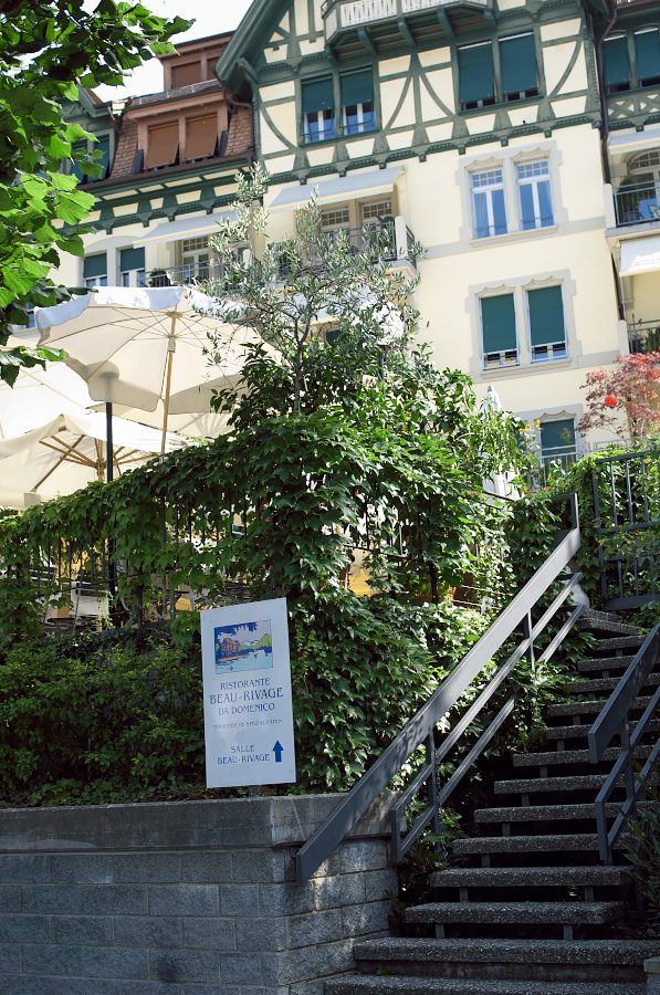 IMGP9154.jpg(517841 byte)