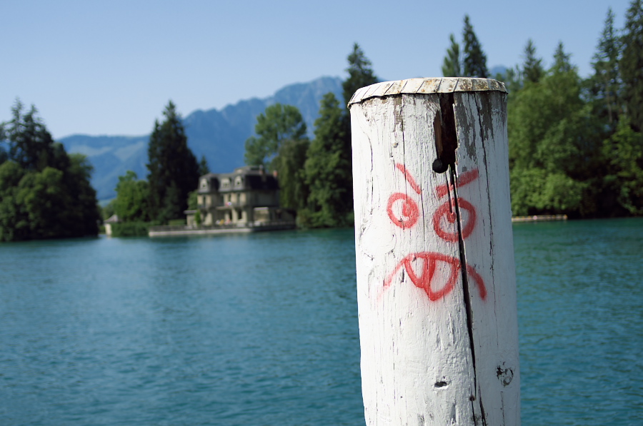 IMGP9173.jpg(239843 byte)