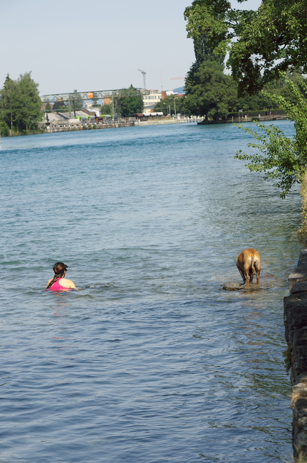 IMGP9210.jpg(370472 byte)