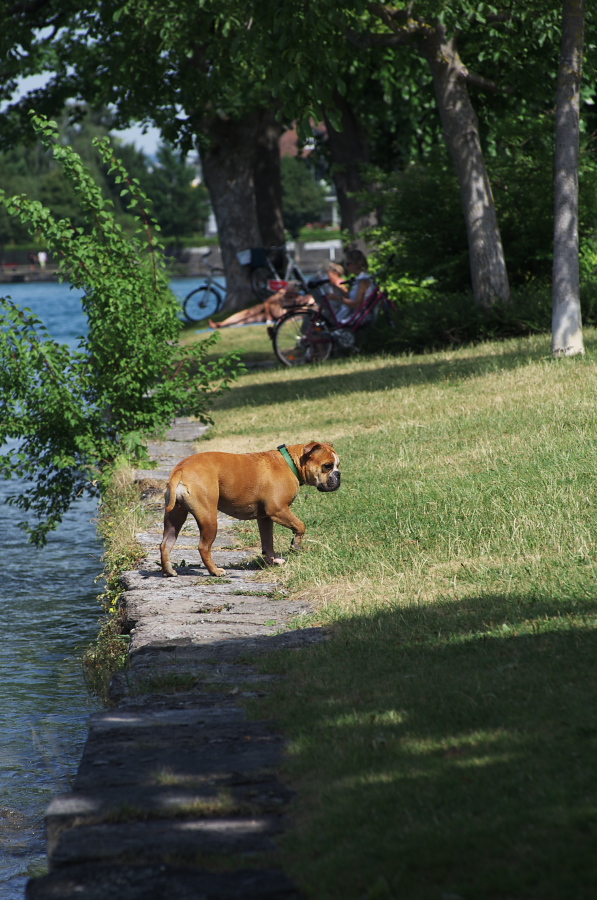 IMGP9212.jpg(365303 byte)