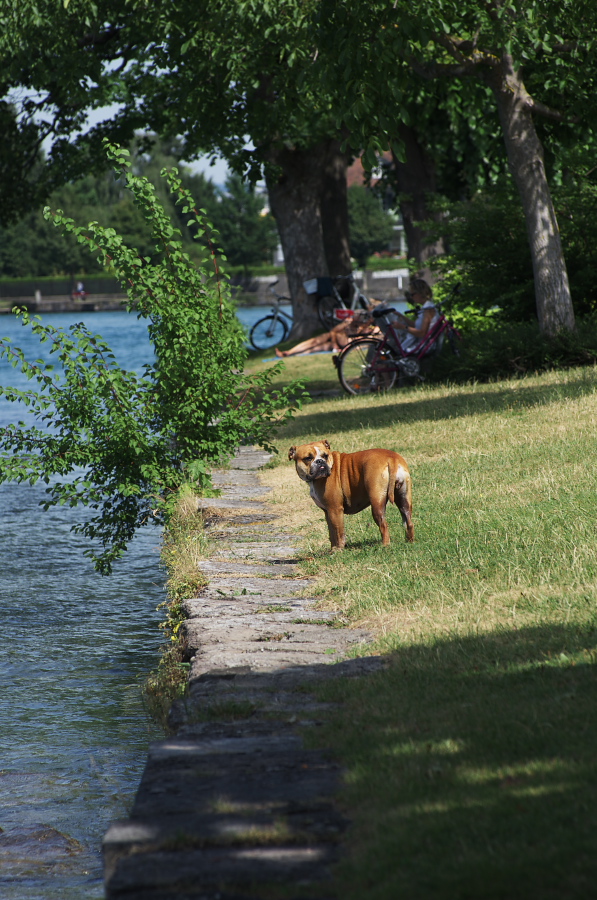 IMGP9216.jpg(407677 byte)