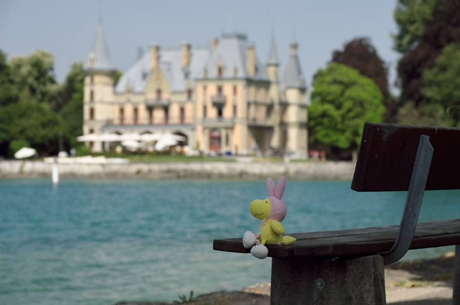 IMGP9226.jpg(183493 byte)