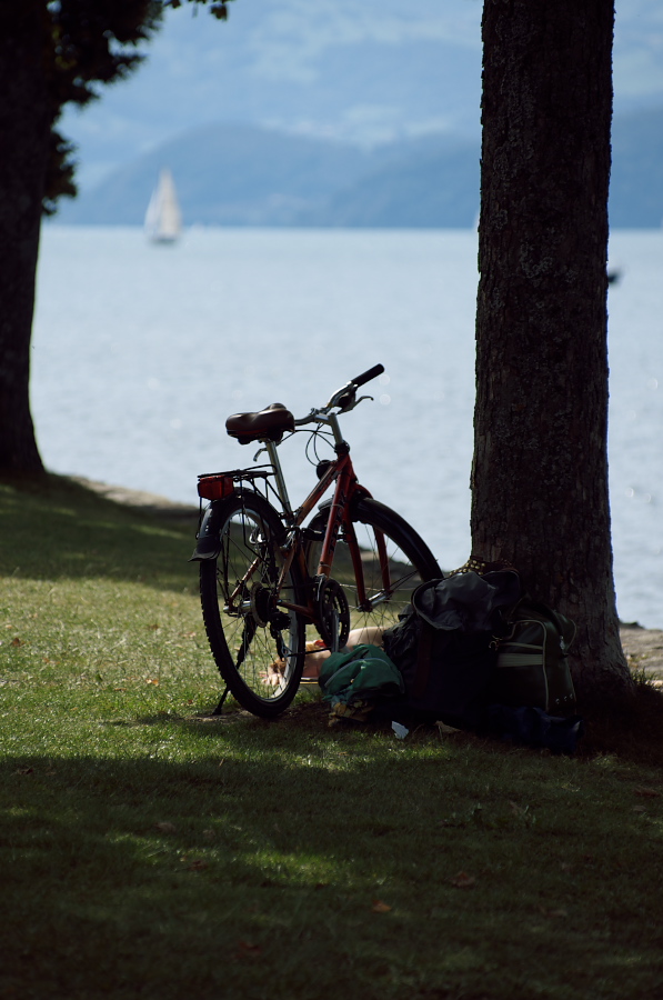 IMGP9230.jpg(239550 byte)