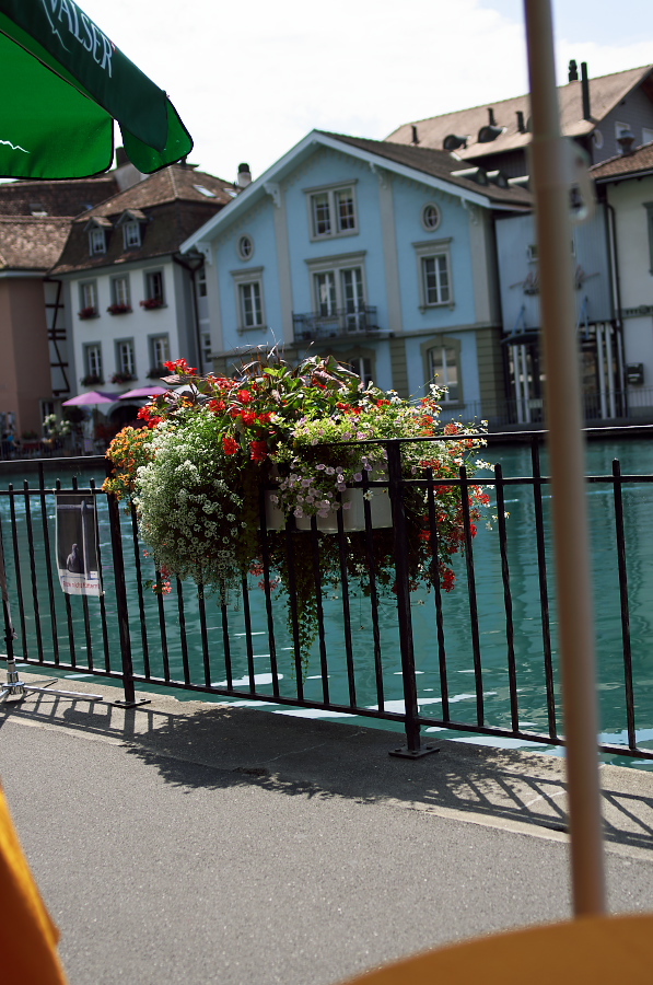 IMGP9362.jpg(367968 byte)