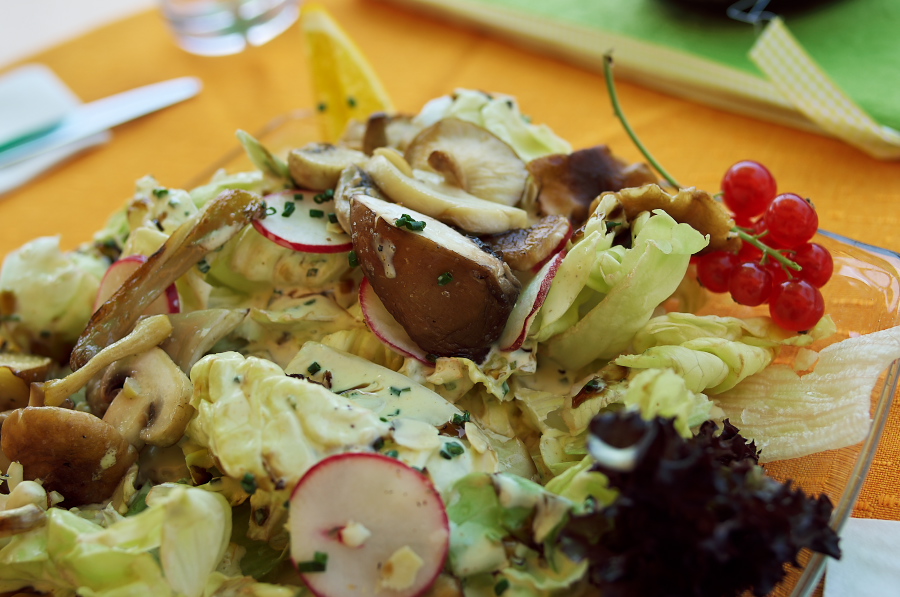 IMGP9377.jpg(284488 byte)