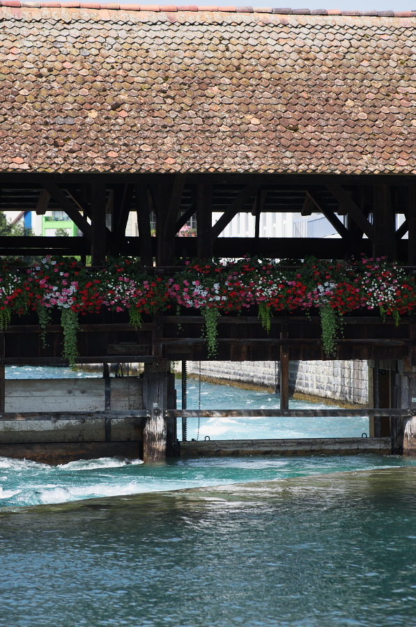 IMGP9313.jpg(483623 byte)