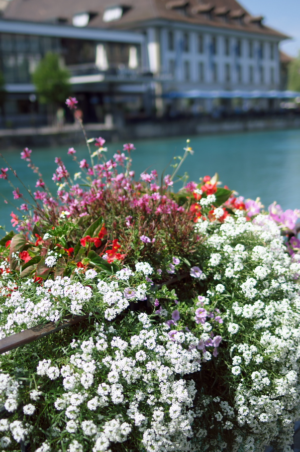 IMGP9317.jpg(447019 byte)