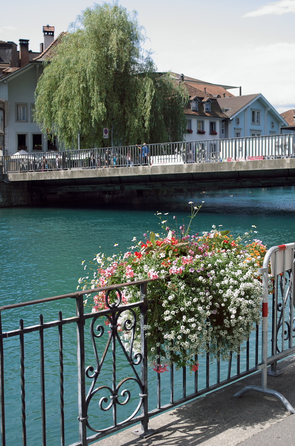 IMGP9324.jpg(438357 byte)