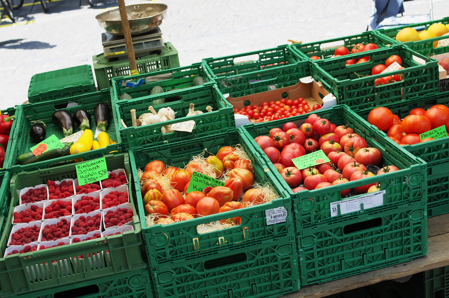 IMGP9326.jpg(466316 byte)