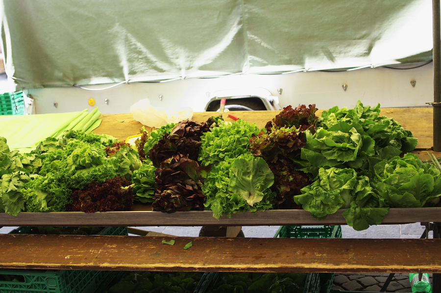 IMGP9329.jpg(380756 byte)