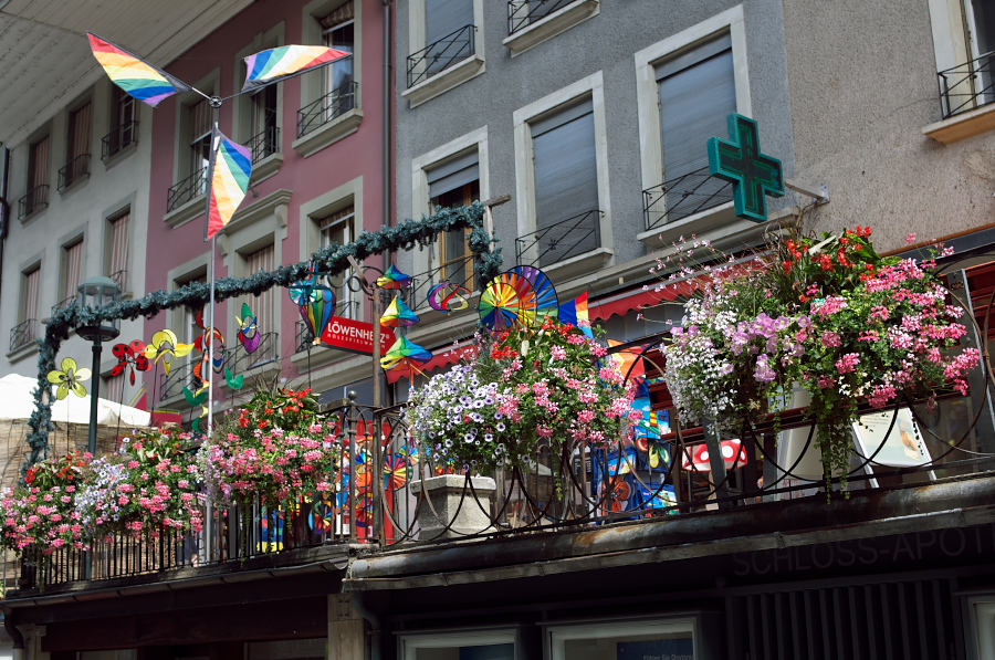 IMGP9340.jpg(458915 byte)