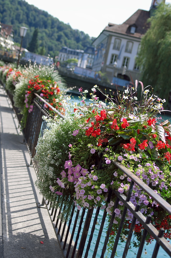 IMGP9392.jpg(449519 byte)