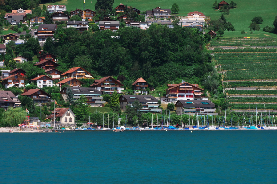 IMGP9506.jpg(484169 byte)