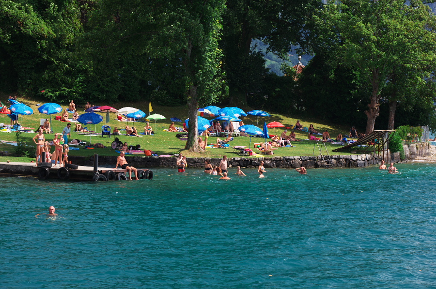 IMGP9521.jpg(504499 byte)