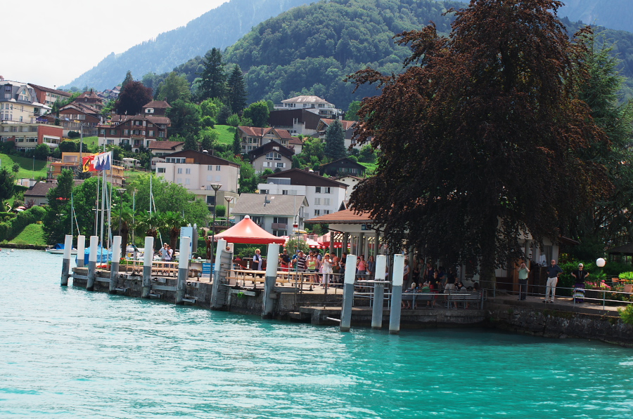 IMGP9531.jpg(461061 byte)