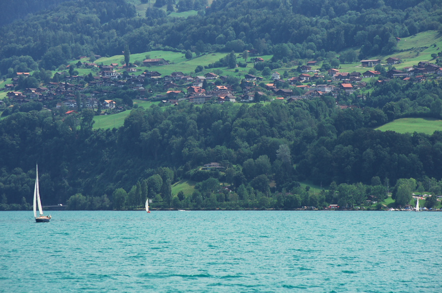 IMGP9548.jpg(399921 byte)