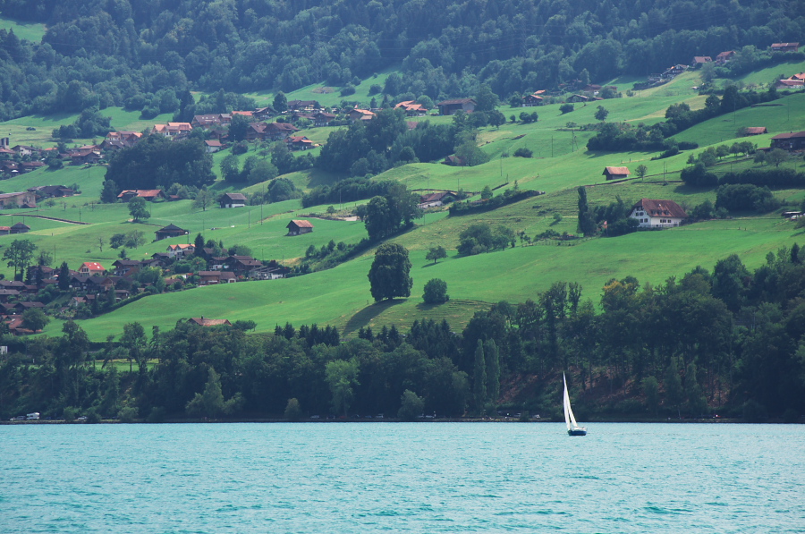 IMGP9549.jpg(398616 byte)